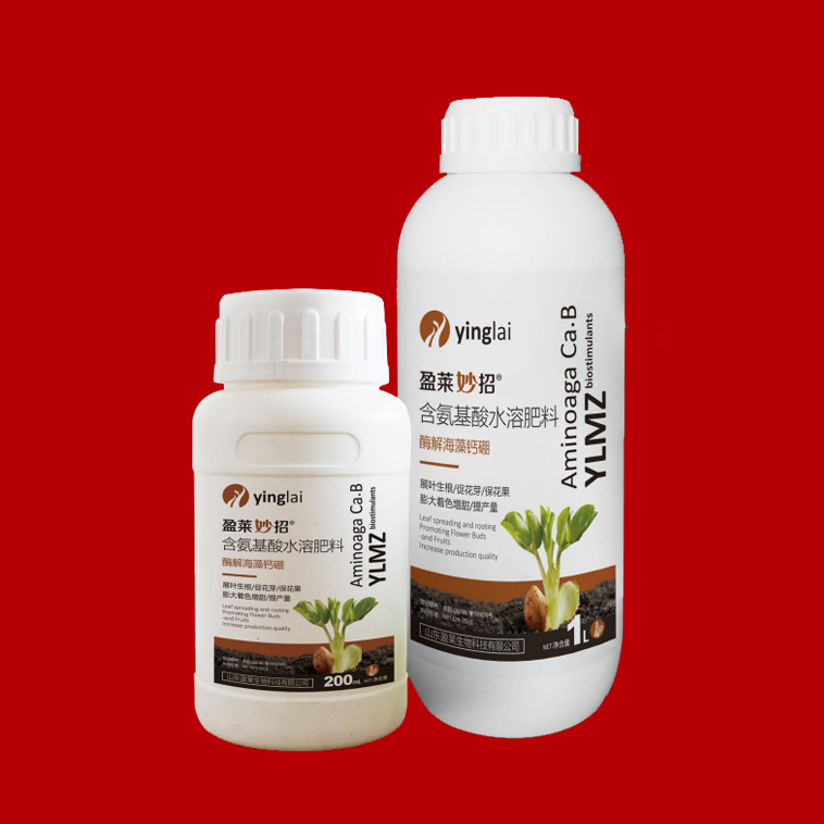 盈萊妙招-酶解海藻鈣硼